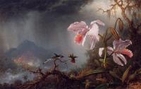 Heade, Martin Johnson